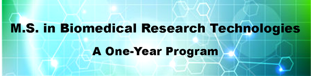 MS in Biomedical Research Technologies banner
