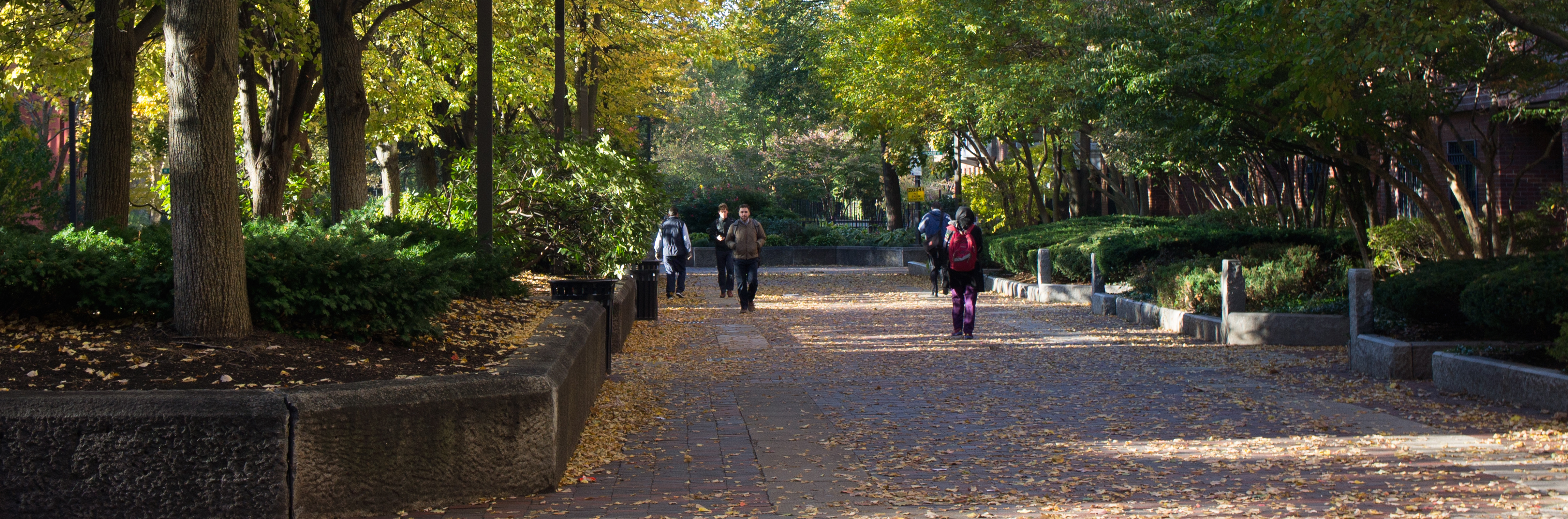 BU campus