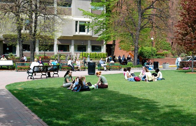 students studying outside on campus