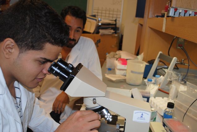 students working in lab