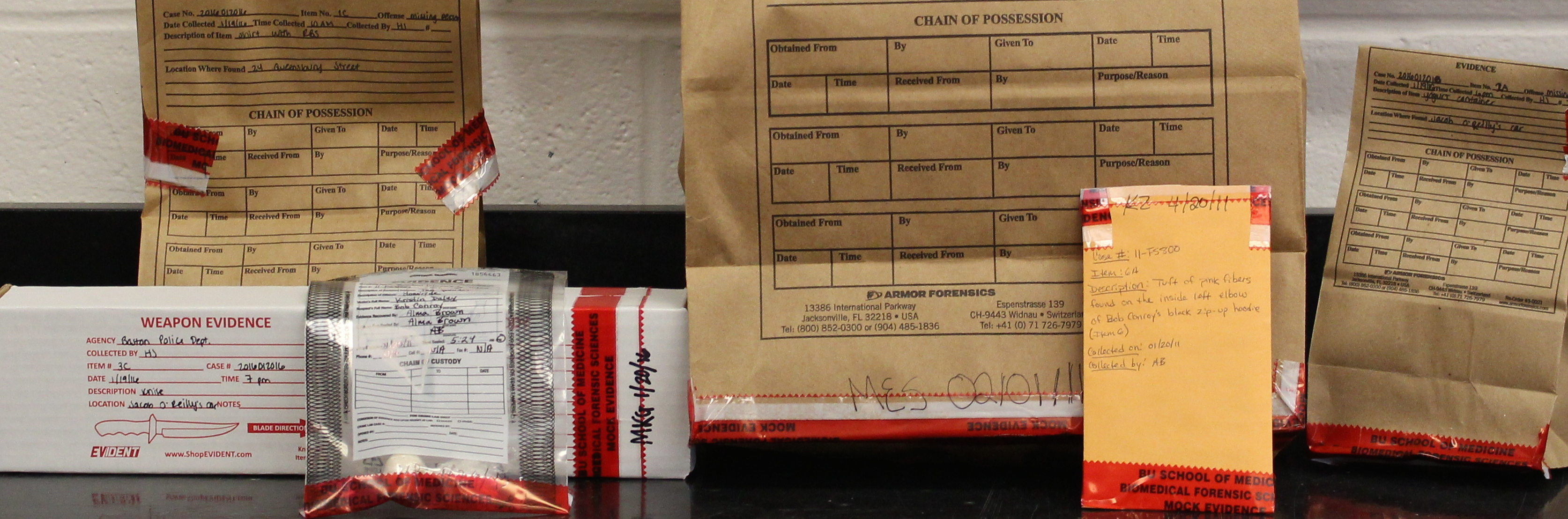 Bu dissertation guidelines picture