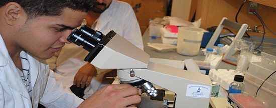 students working in lab