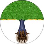MACCP tree logo