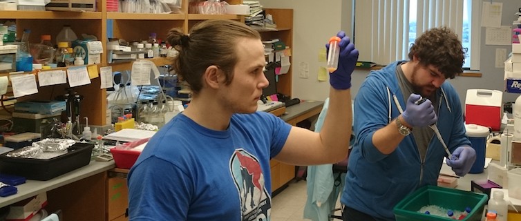 Students working in lab