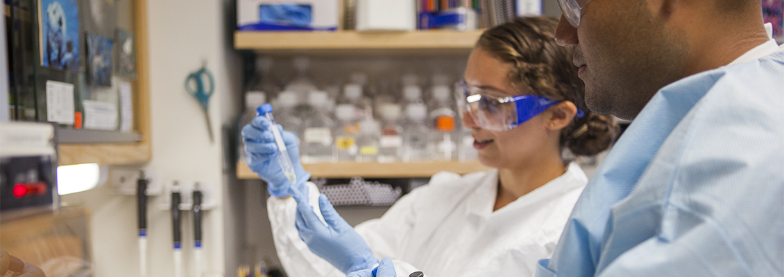 Students working in lab