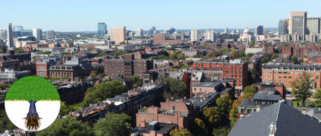 View of Boston Skyline
