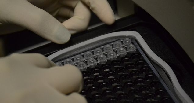 Student working with PCR tubes