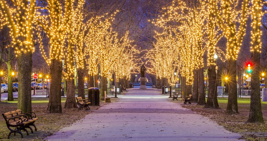 Where to See Holiday Lights in Boston Graduate Medical Sciences