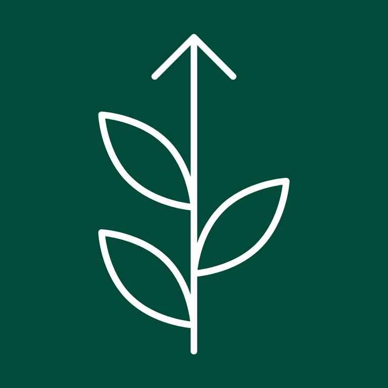 Grow your skills Image.