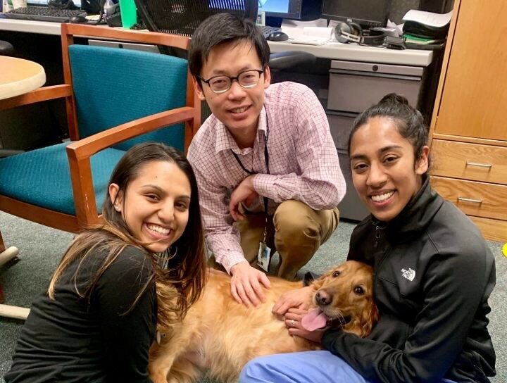 Wellness VA pup with residents