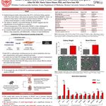 "Pathogenic Insights into the Cardiorenal Syndrome in Heart Failure (HF) with Preserved Ejection Fraction (HFpEF)" Albin Oh, MD