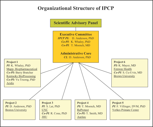 Organizational Structure of Components of IPCP-HTM