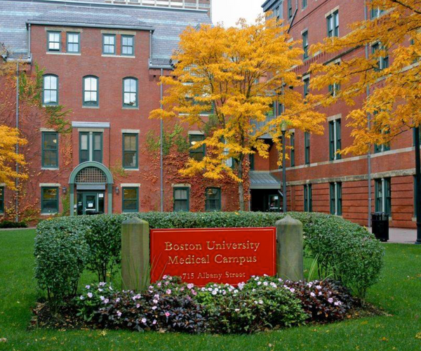 Boston University Medical Campus red signage surrounded by green shrubs and green lawn in front of brick buildings.