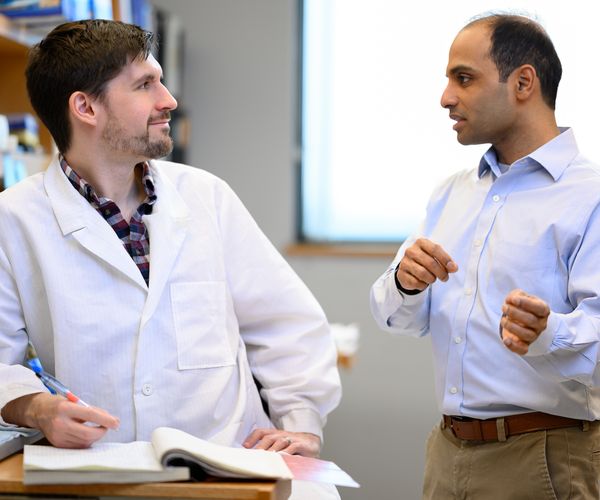 Researchers conversing in lab