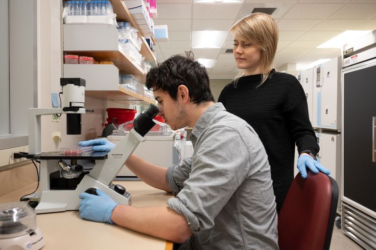 Researchers examining specimen in microscope