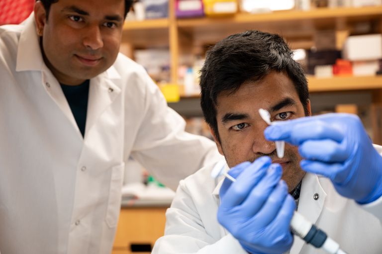 Two researchers examining specimen