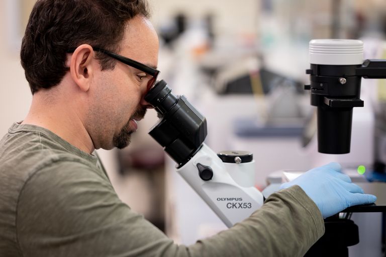 Researcher looking into microscope