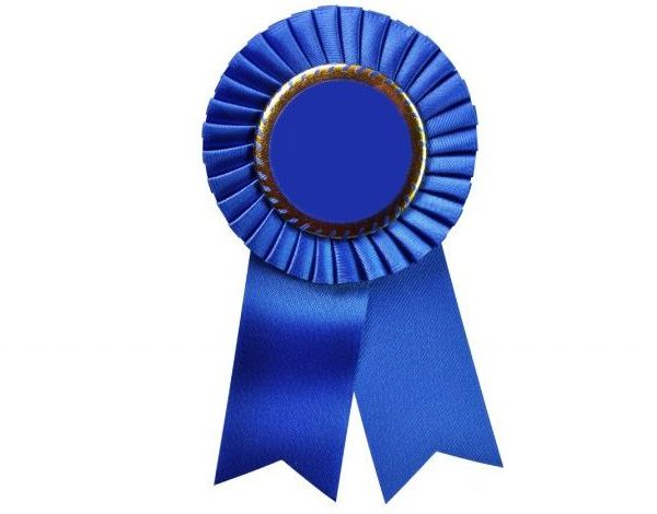 Blue Ribbon