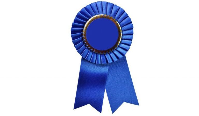 Blue Ribbon