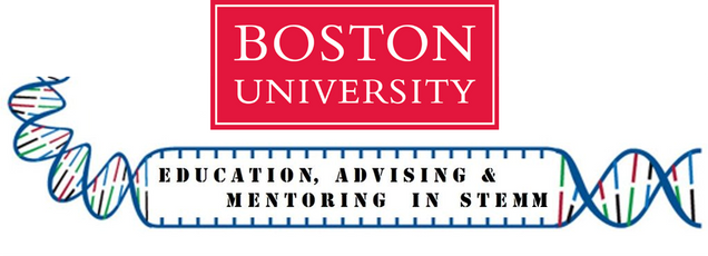 BEAMS logo