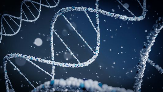 DNA_strand_molecules