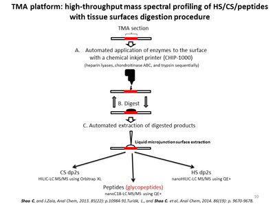 160803 Integrated omics of TMAs