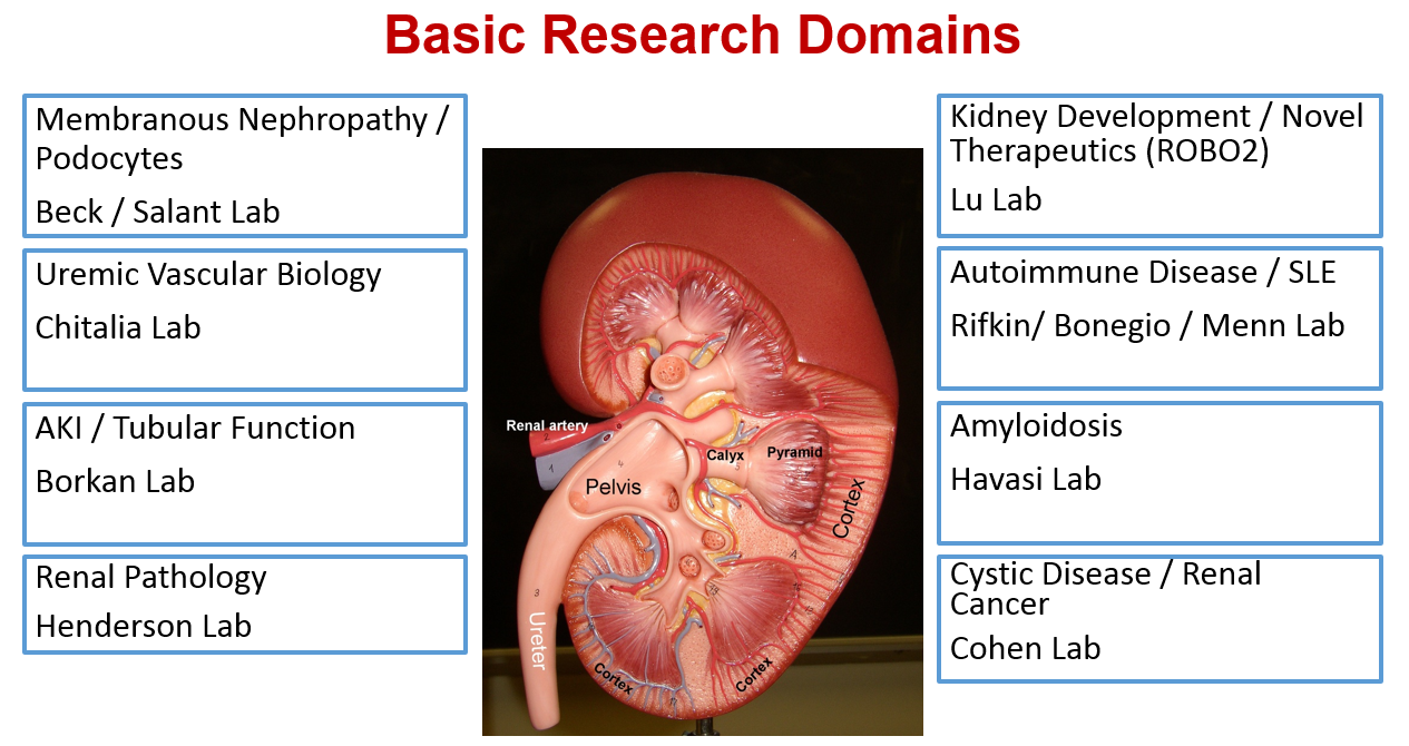 trending research topics in nephrology