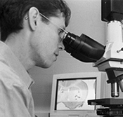 Ed Stack on imaging microscope