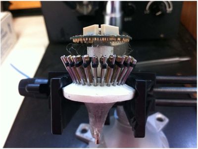 Microarray 1