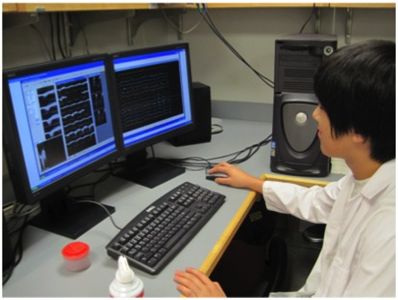 In vivo Ephys Image 7
