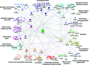 Network-sm