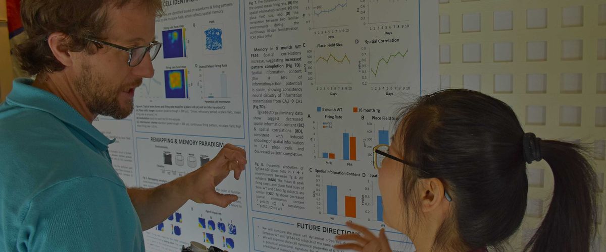Student Presenting Research on a Poster Board