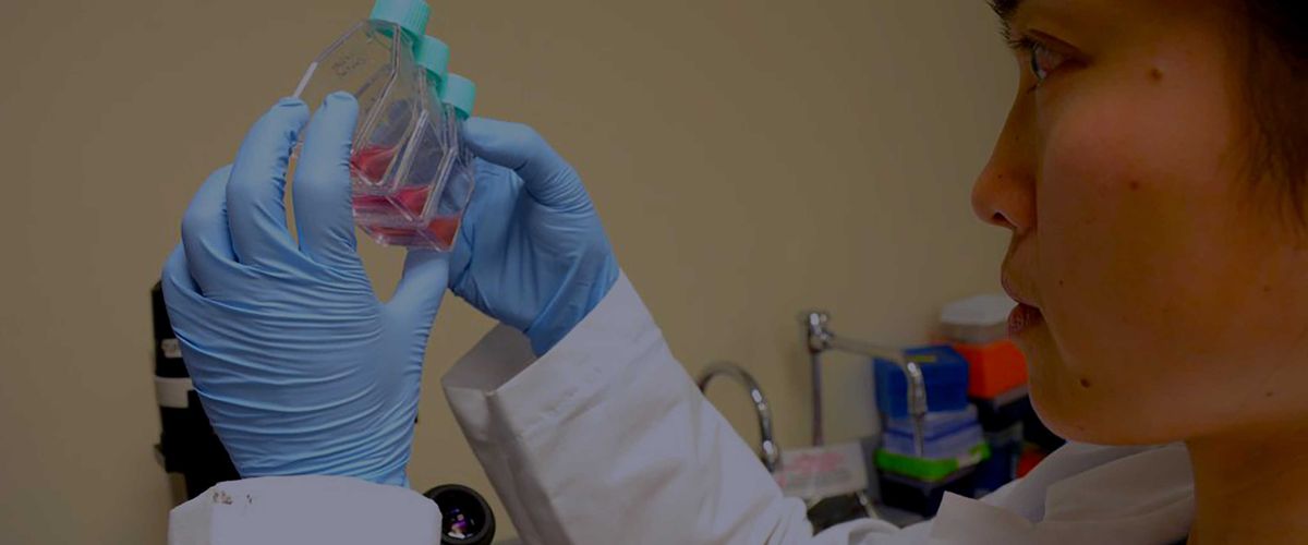 Researcher examining vials