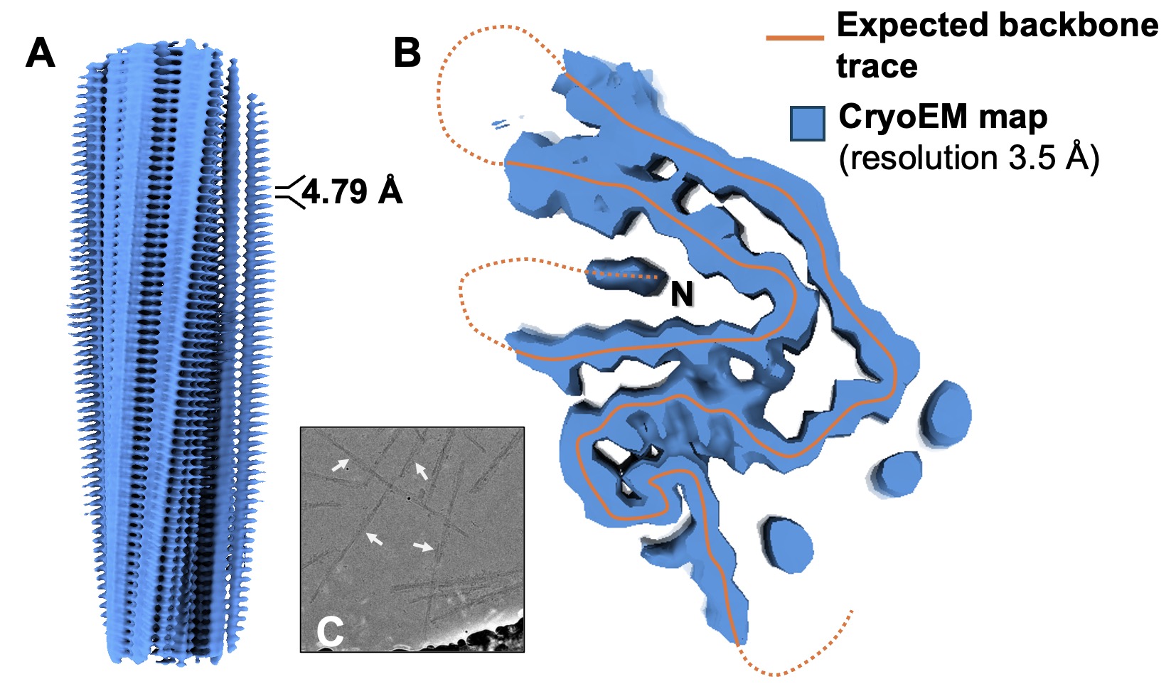 Cryo-EM structure of AL252L fibrils