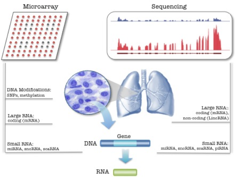 pulmonary-fig-1 Figure 1: High throughput platforms currently employed for the analysis of clinical specimens.