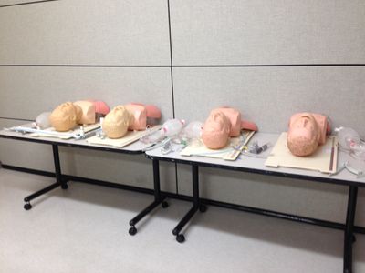 Airway simulation 2015 C