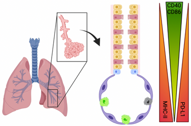 Pulmonary, Allergy, Sleep & Critical Care Medicine