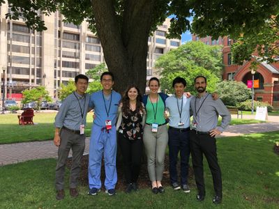 Photo of Third Year Fellows