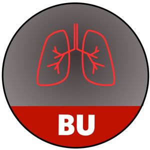 Image of BU Placeholder
