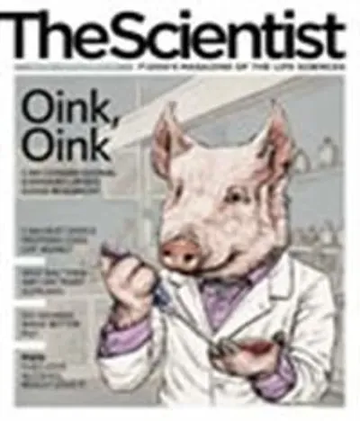 Screenshot of an edition of the journal The Scientist with a pig scientist on the cover.