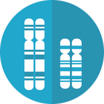 chromosomes-2817314