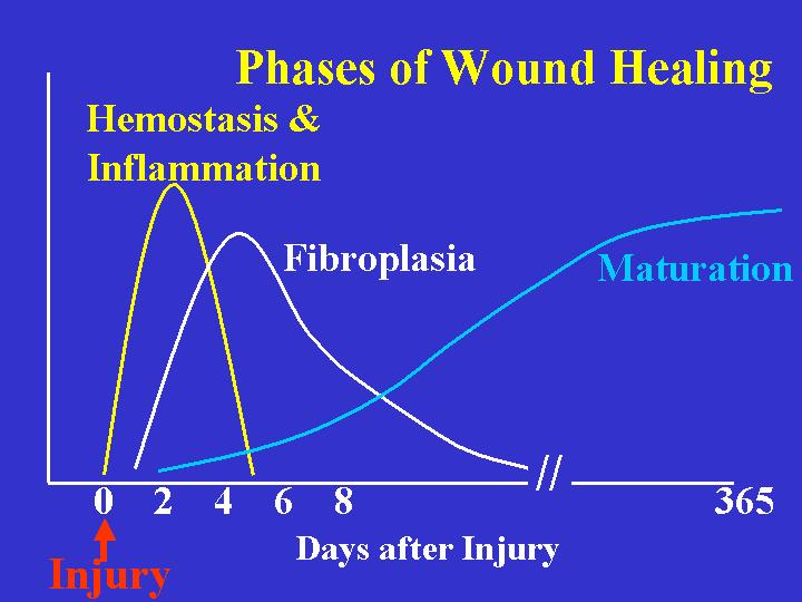 Suture Removal Chart