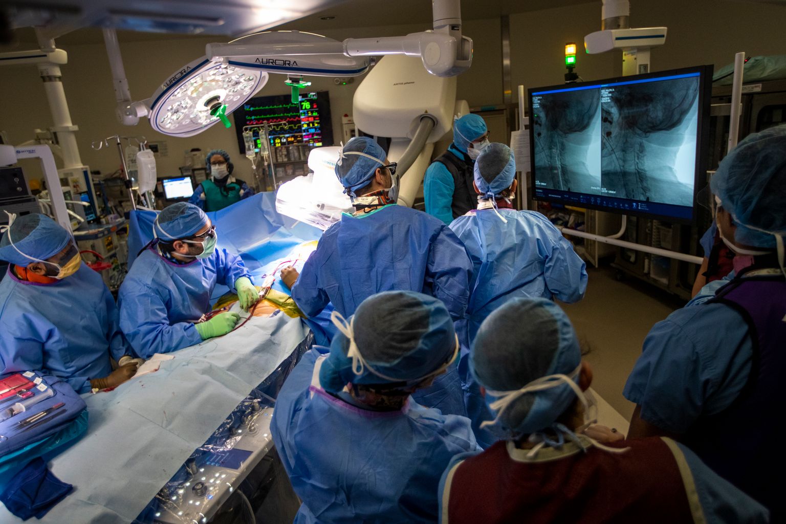 Vascular and Endovascular Fellowship Surgery