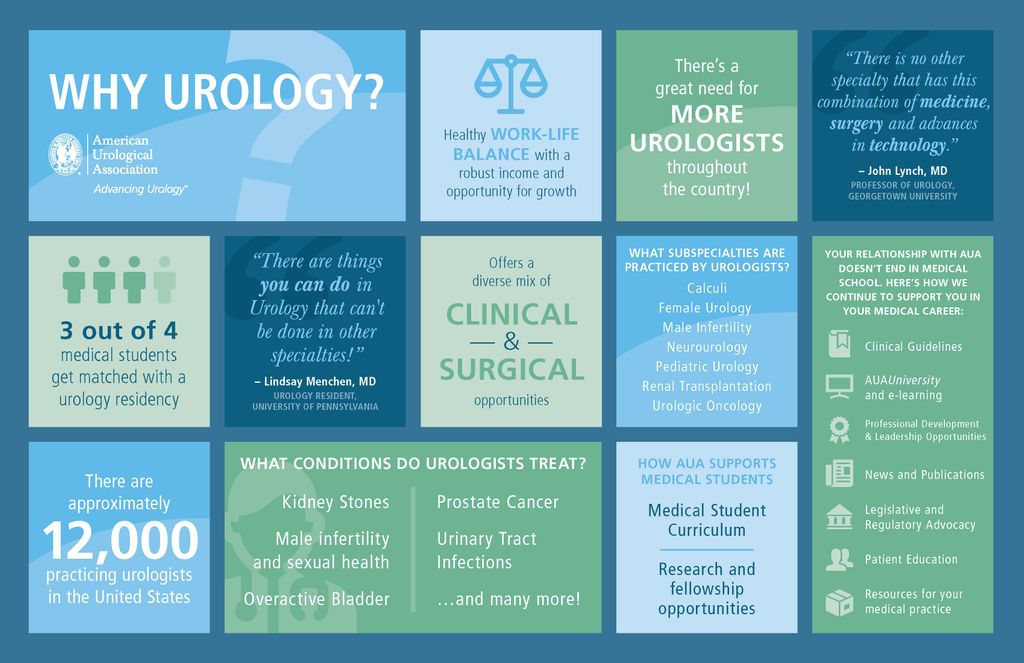 urology research year medical student