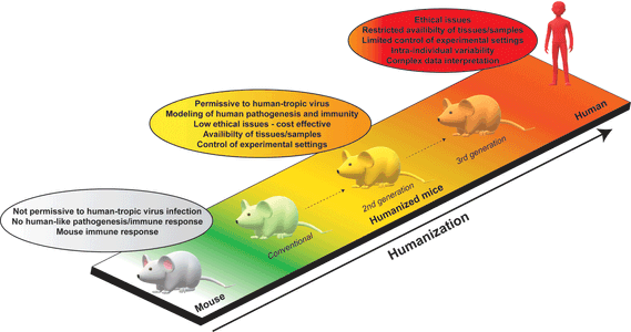 Florian Douam, Ph.D. | Immunology Training Program