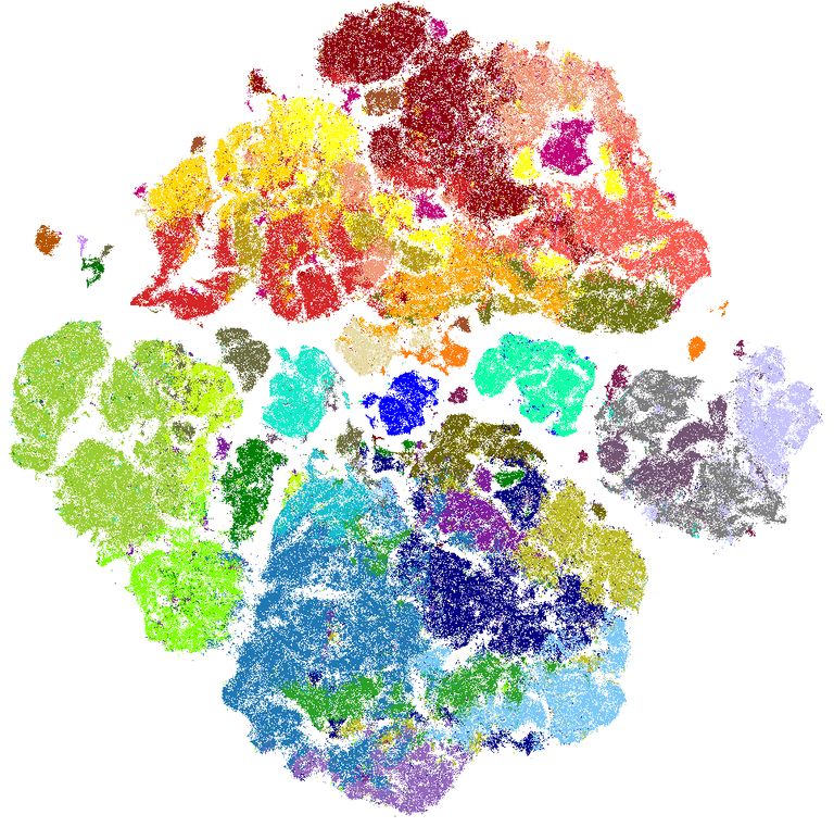 Immunological Disease Art