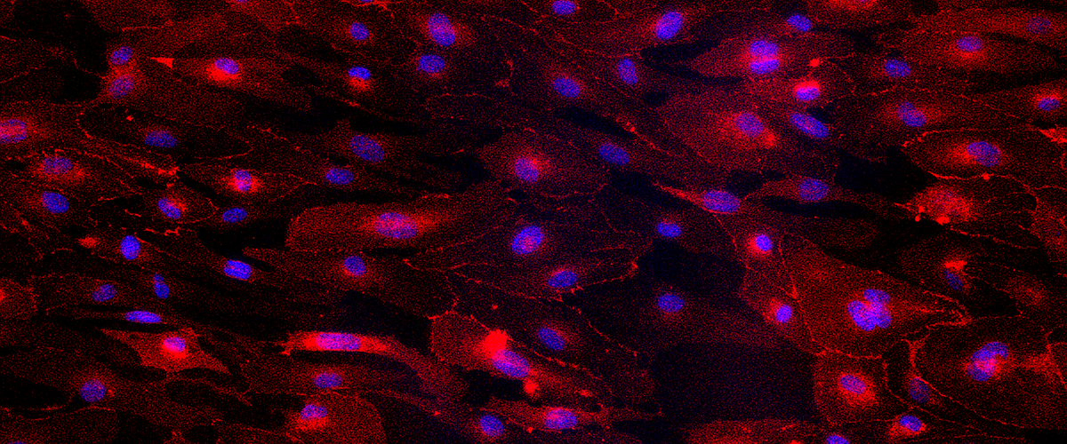 science image