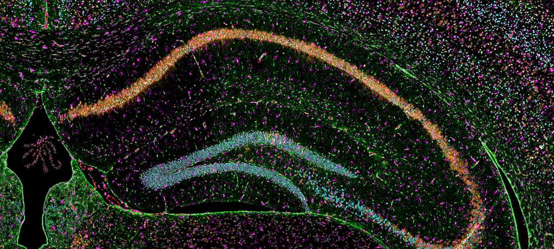 science image